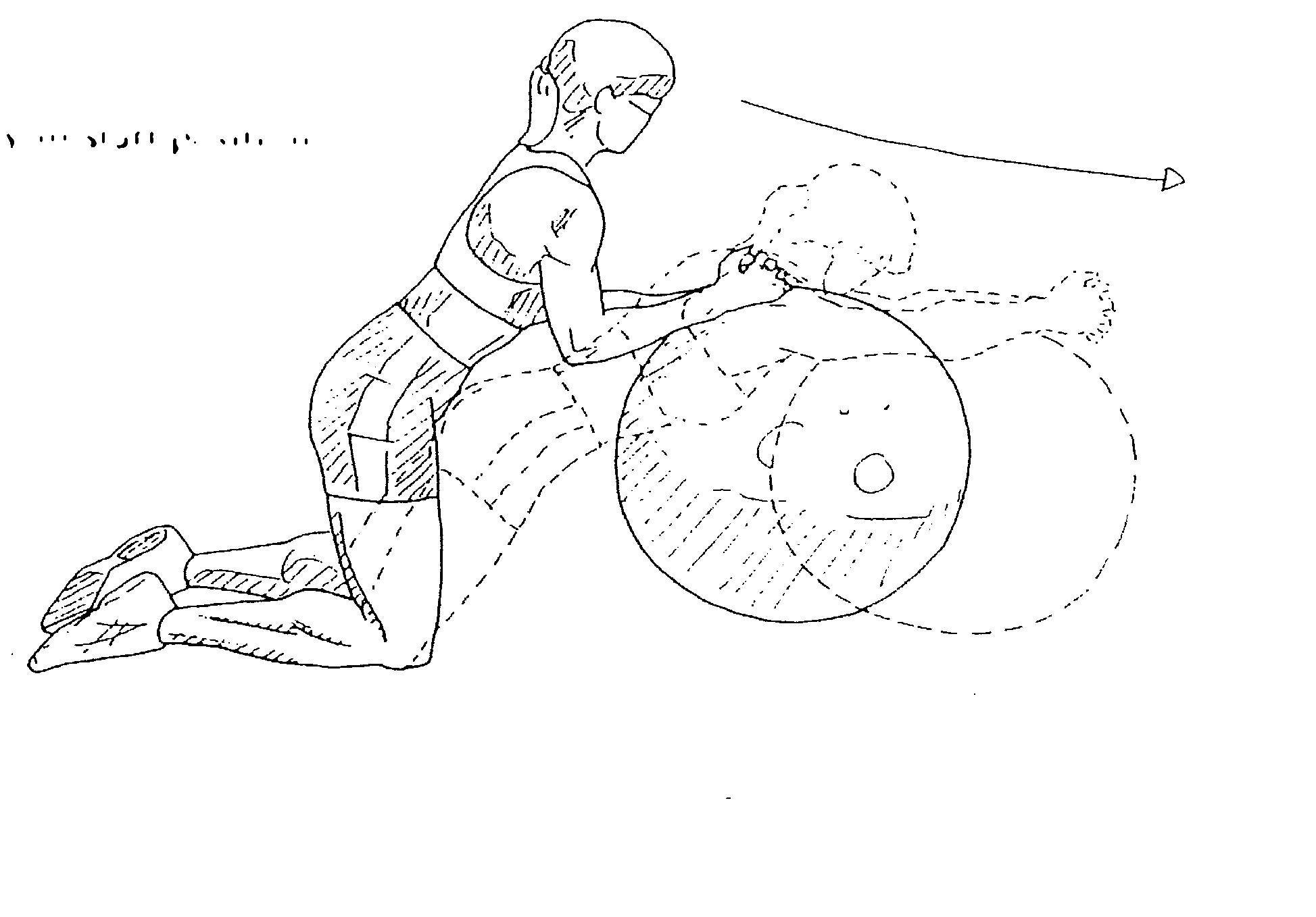 Ball Roll
